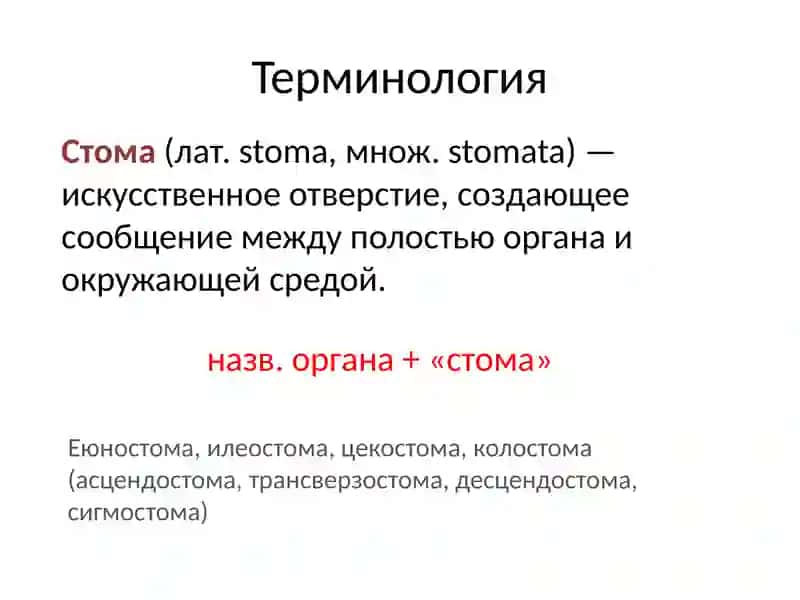 Кишечный стомы 3