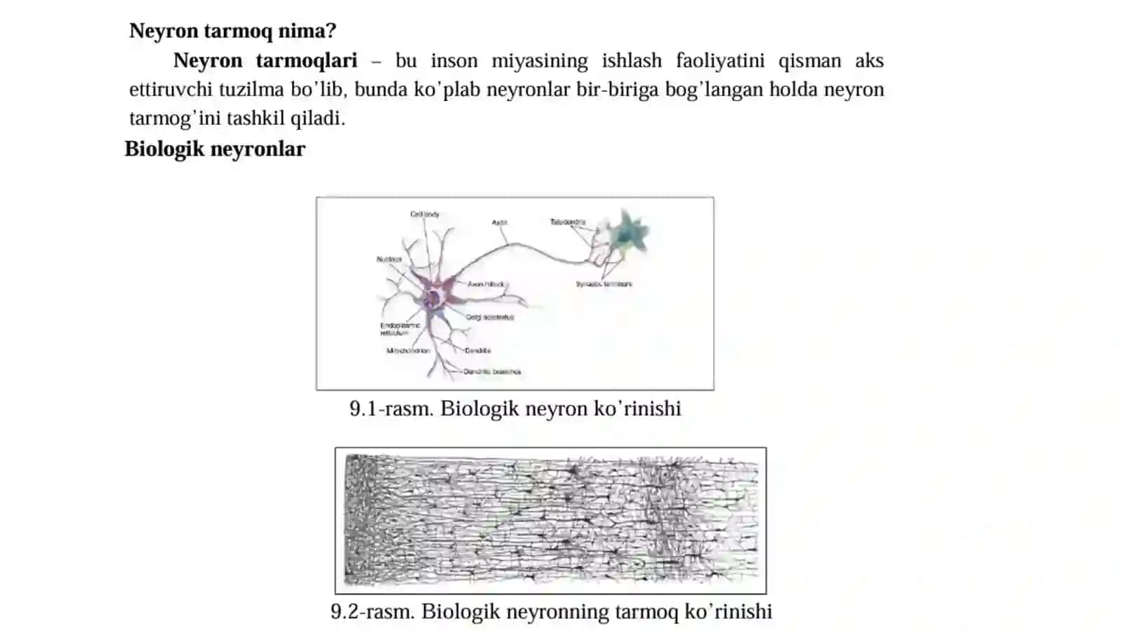 Biologik neyron 3