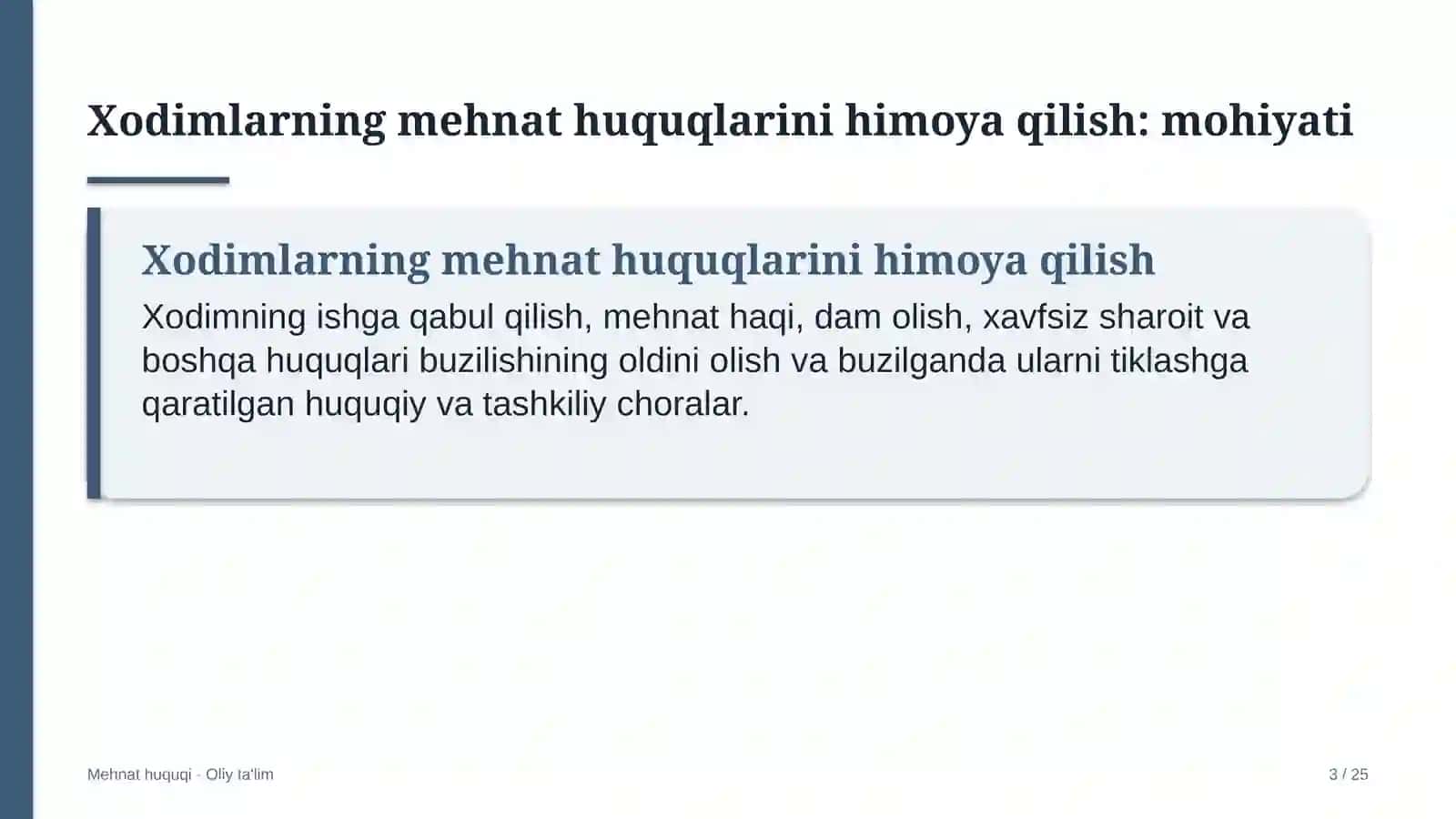 Bojxona terminallarida xodimlarning mehnat huquqlarini himoya qilish 3