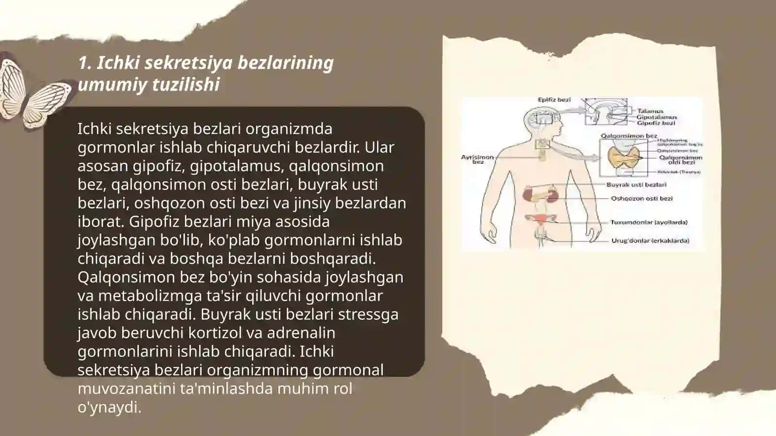 Ichki sekretsiya bezlarini tekshirish usullari. Epifiz 3