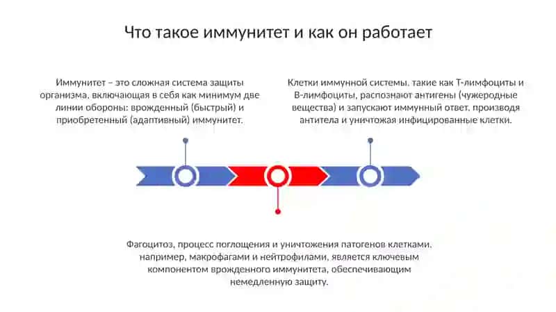 Как укрепить иммунитет? Мода и здоровье 3
