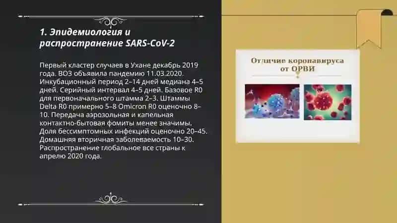 COVID-19-глобальная проблема современности 3