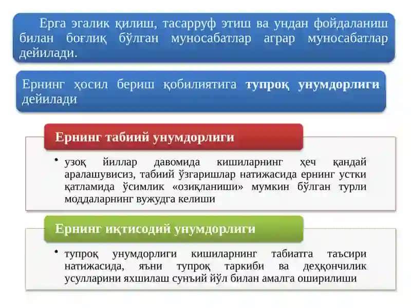 АГРАР МУНОСАБАТЛАР ВА АГРОБИЗНЕС 3