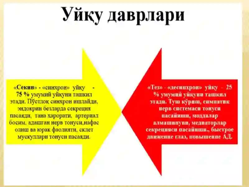 УЙҚУ ЧАҚИРУВЧИ МОДДАЛАР ТАСНИФИ 3