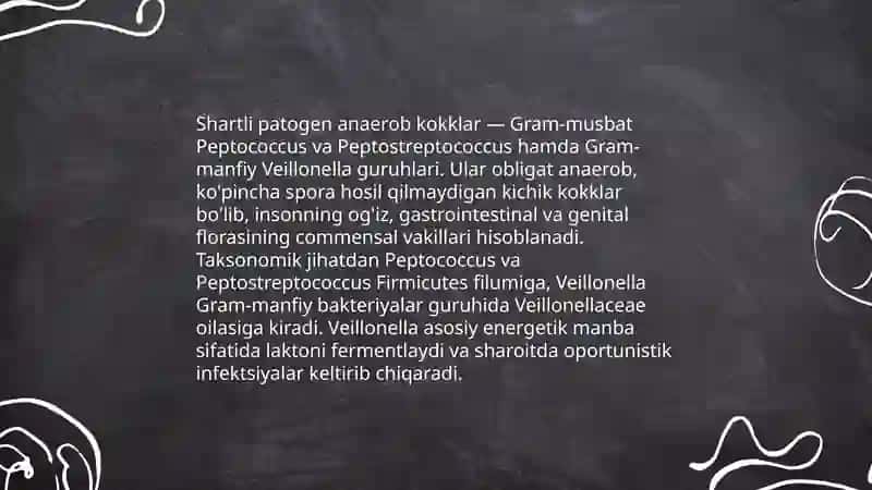 Shartli patogen anaerob kokklar 3