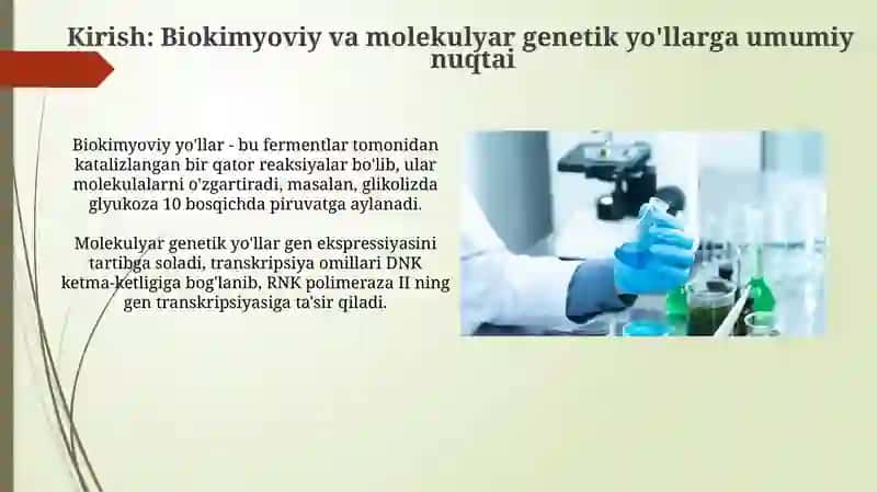 Biokimyoviy va molekulyar genetik yoʻli 3