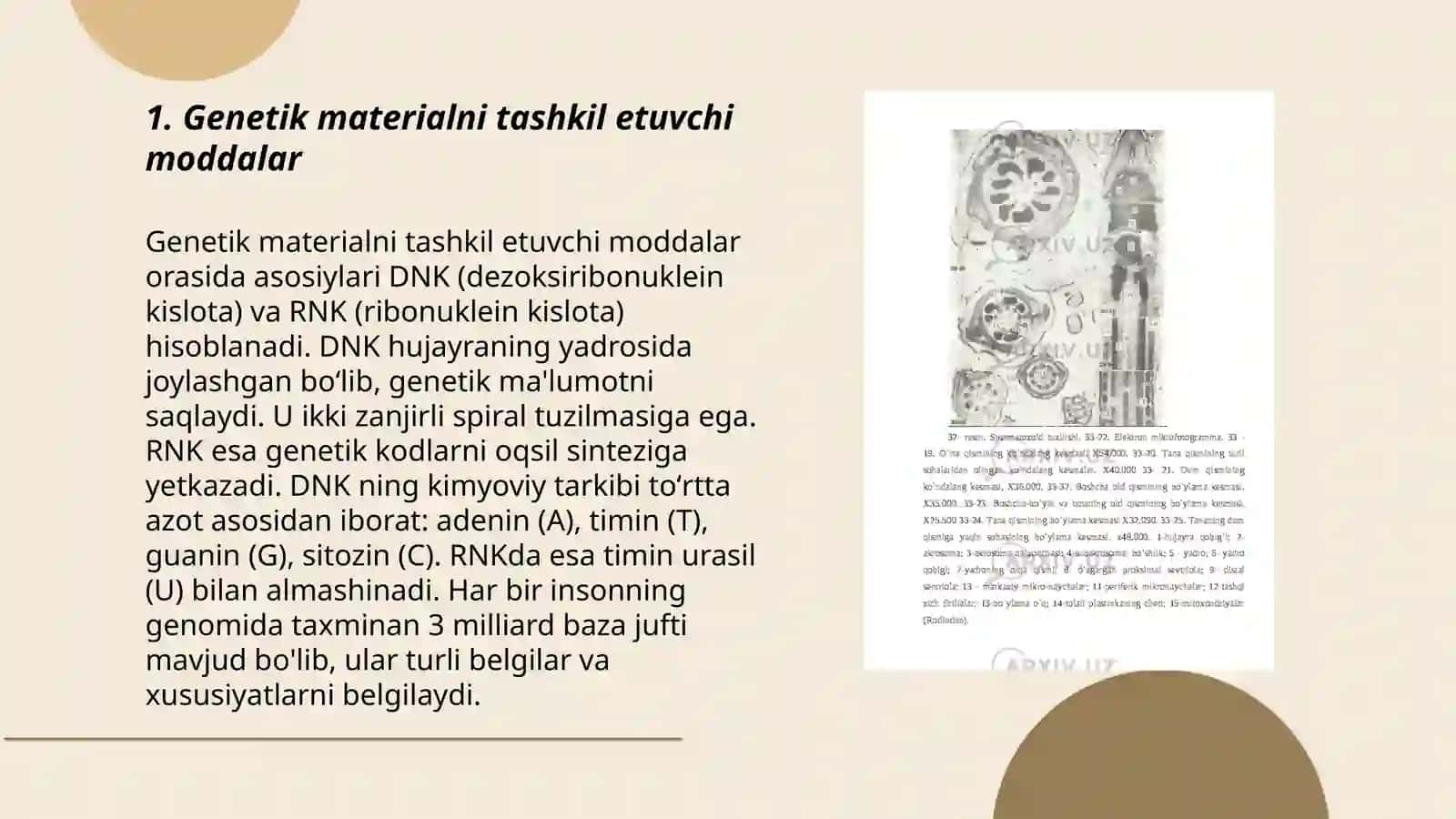 Umumiy genetika asoslari 3