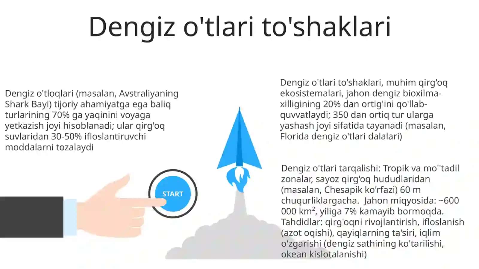 Dengizdagi organizmlar jamoalari 3