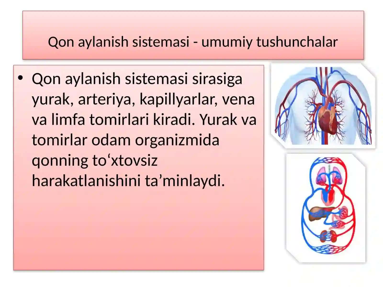 QON VA UNING TARKIBI.QON GURUHLARI 3