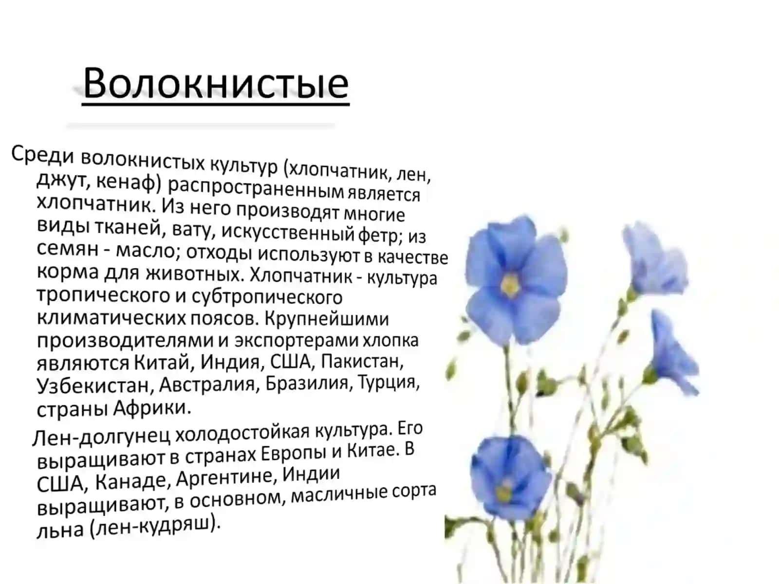 Технические культуры 3