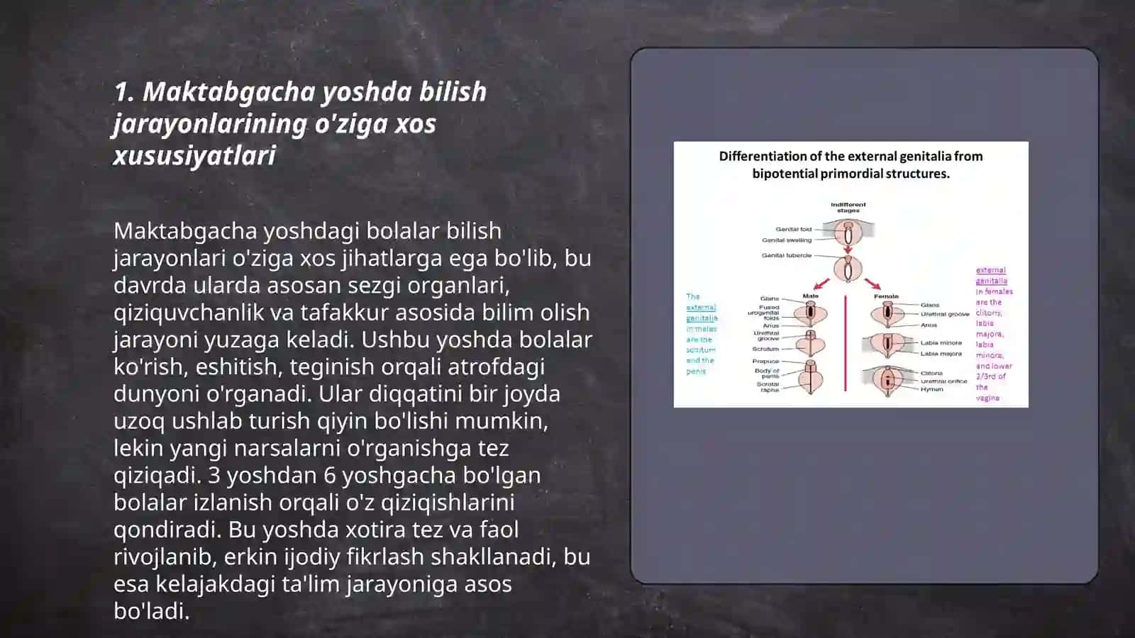 Maktabgacha yosh davrida bilish jarayonlari va nutqning rivojlanishiga xos xususiyatlar 3