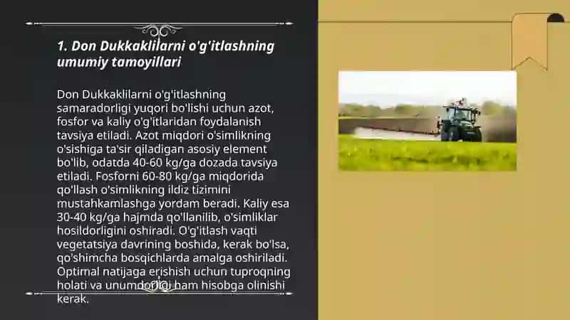 Don Dukkakli ekinlarni o'g'itlash 3