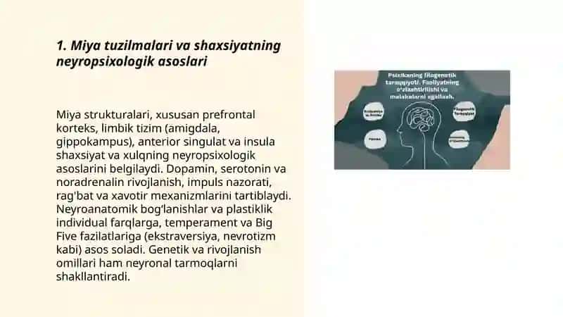 Psixik xususiyat va holatlarining neyropsixologik asoslari 3