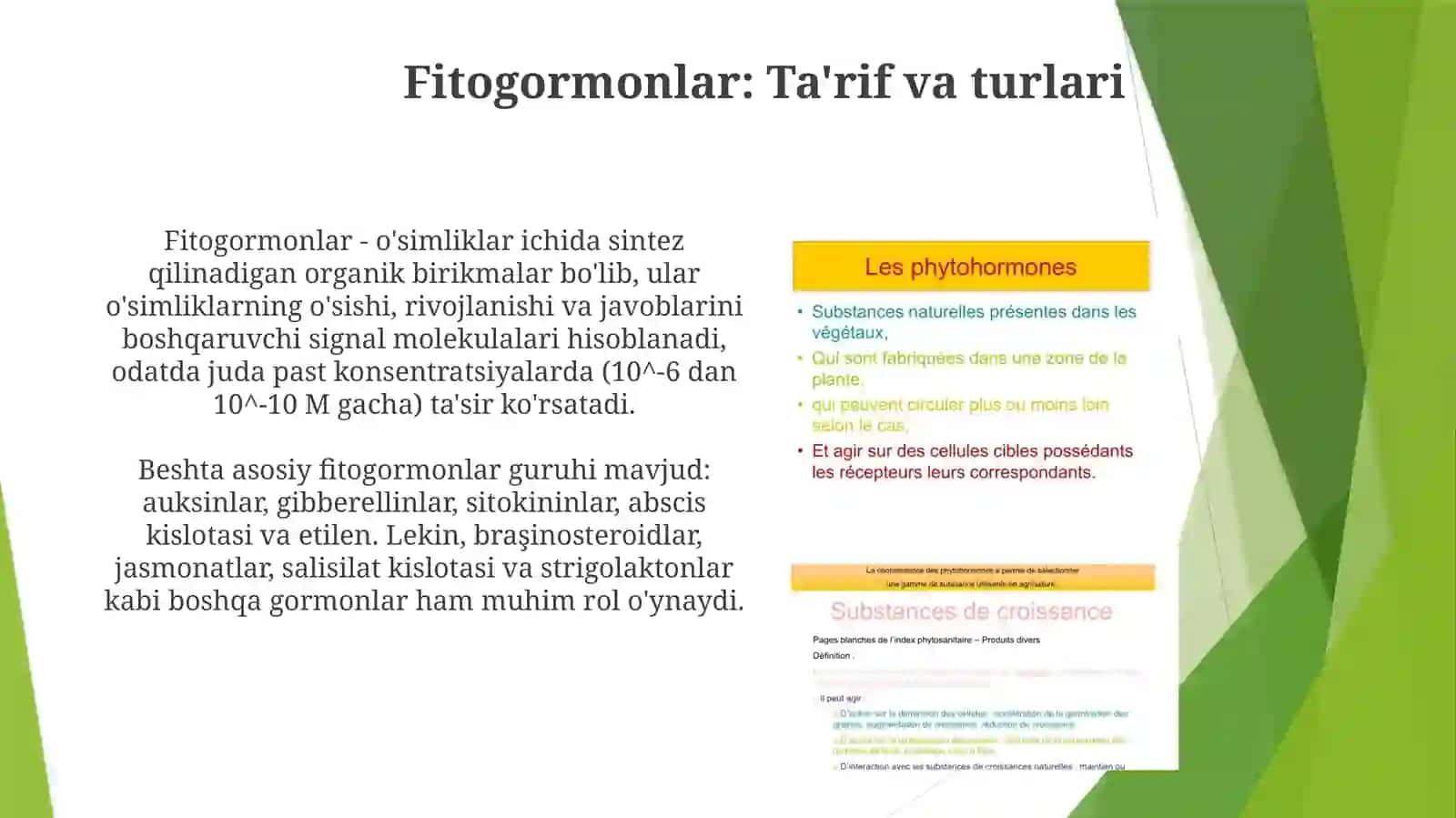 Fitogormonlar 3