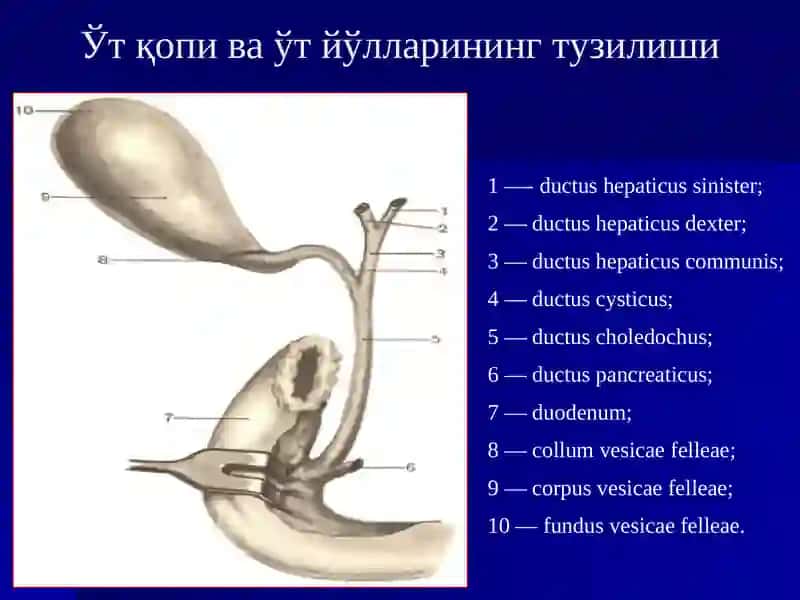 Ўткир Холецистит ва унинг асоратлари 3