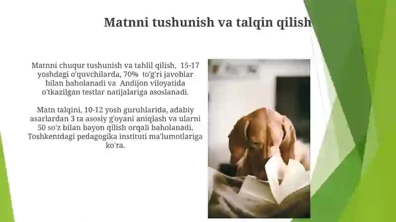 O'qish Savodxonligi va Adabiyot 3