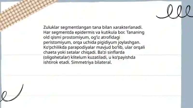 Zuluklar sinfi 3