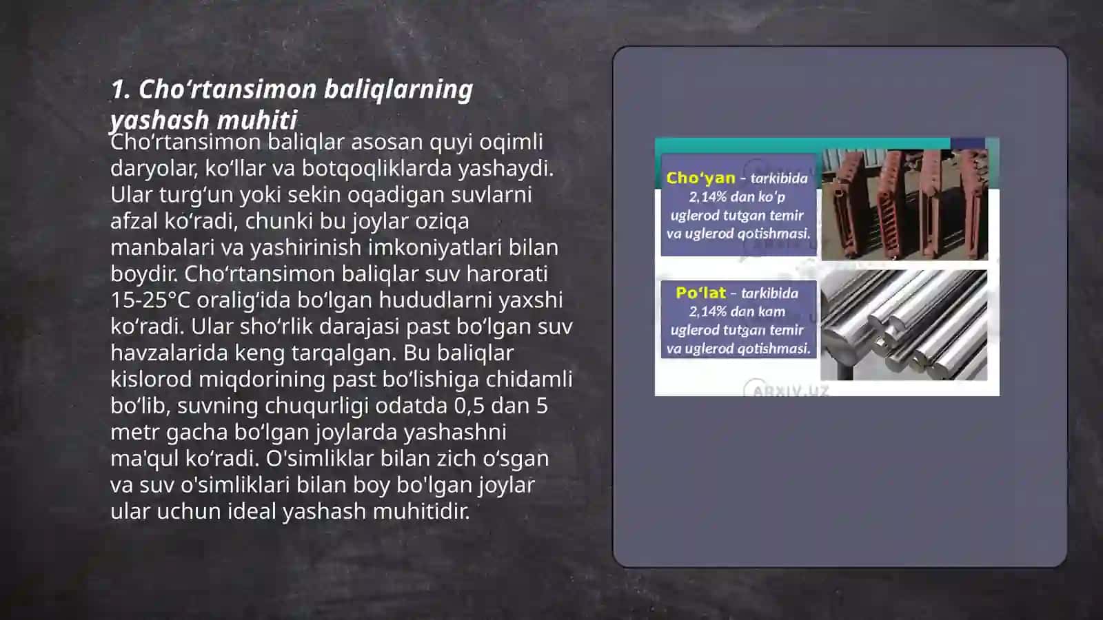Choʻrtansimonlar va olabugʻasimonlar turkumi 3