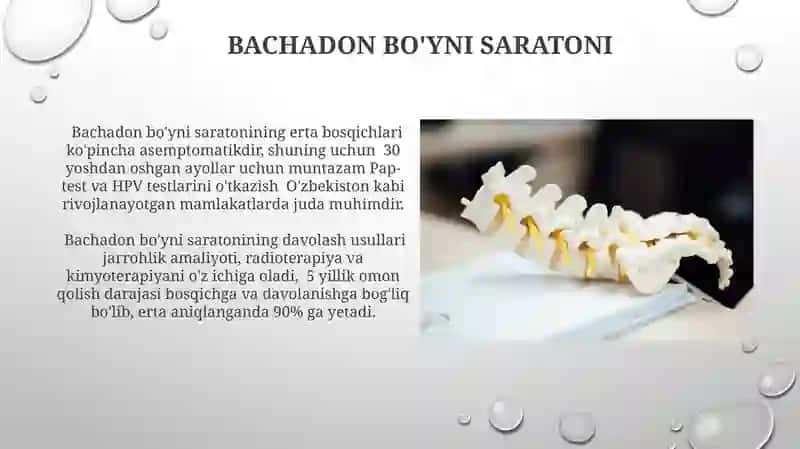 Bachadon oʻsmalari anatomiya 3
