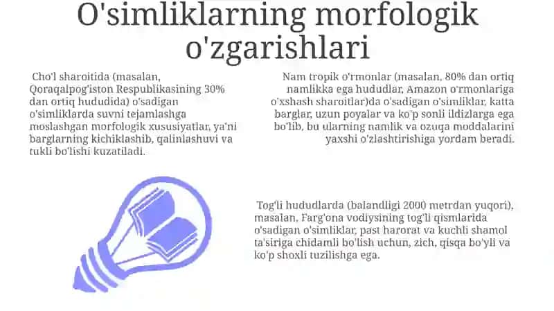 O'simlik Tuzilishi 3