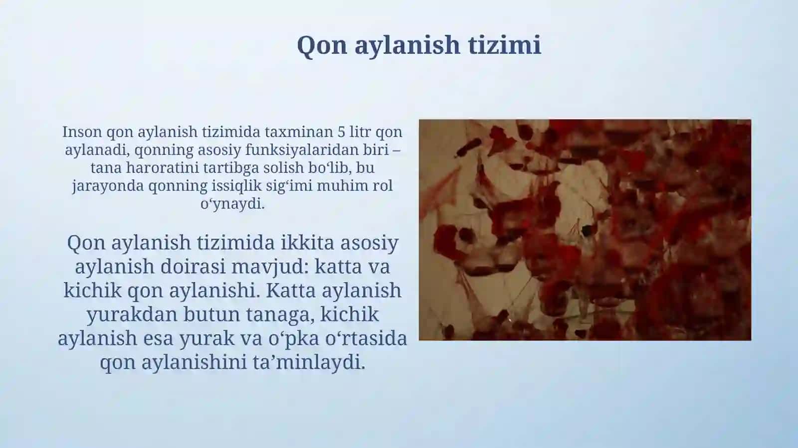 Qon Quvonchbek 3