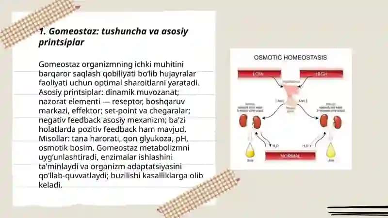 Gomeostaz: Tushuncha va Asosiy Printsiplar 3