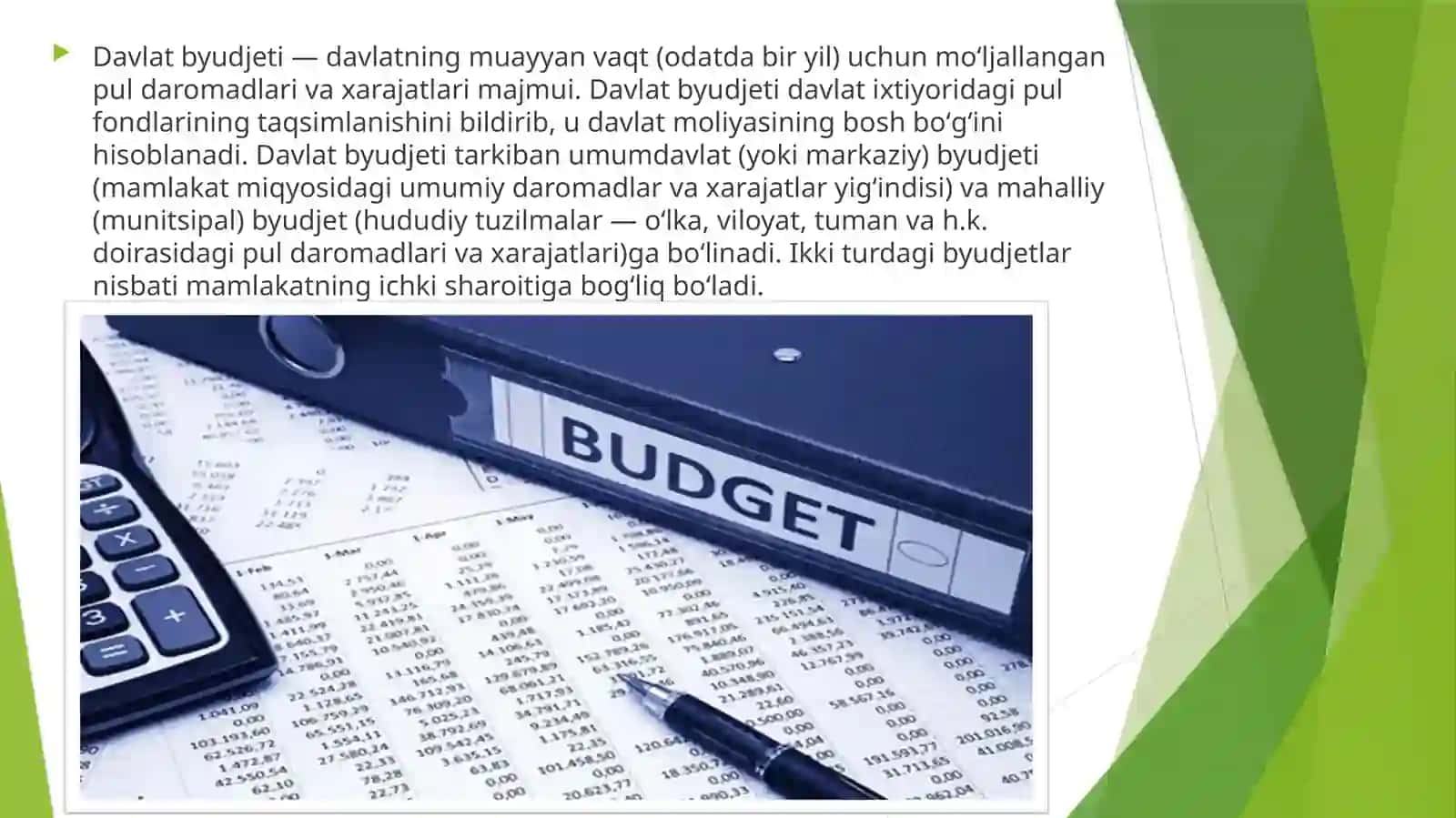 Davlatbudjetinimohiyativaahamiyati 3
