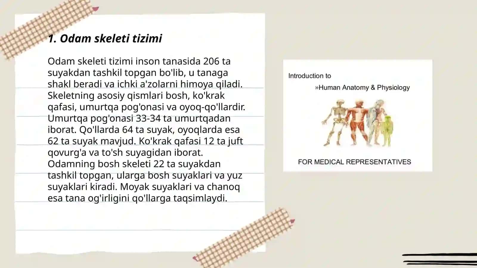 Odam skeleti tizimi 3