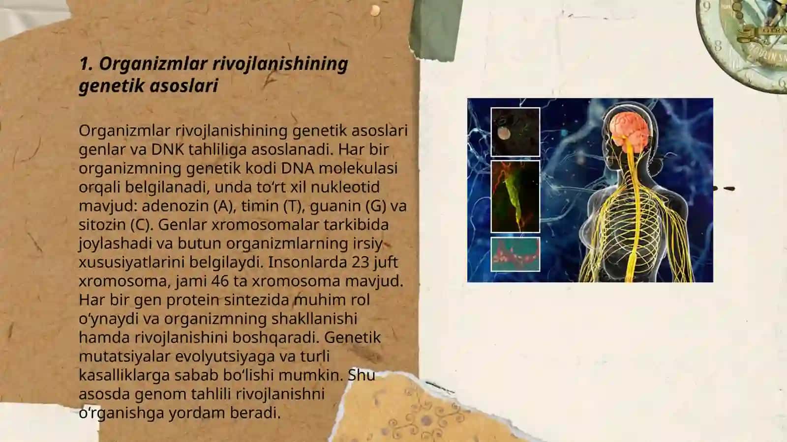 Organizm rivojlanishi va muhit 3
