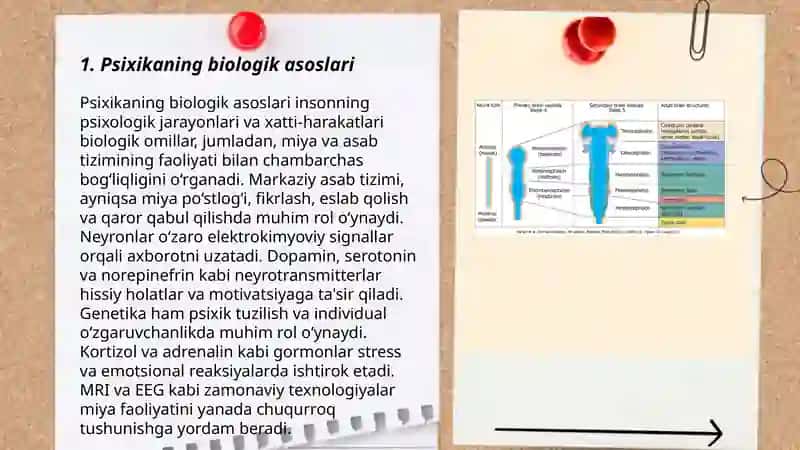Psixikaning filogenetik taraqqiyoti 3
