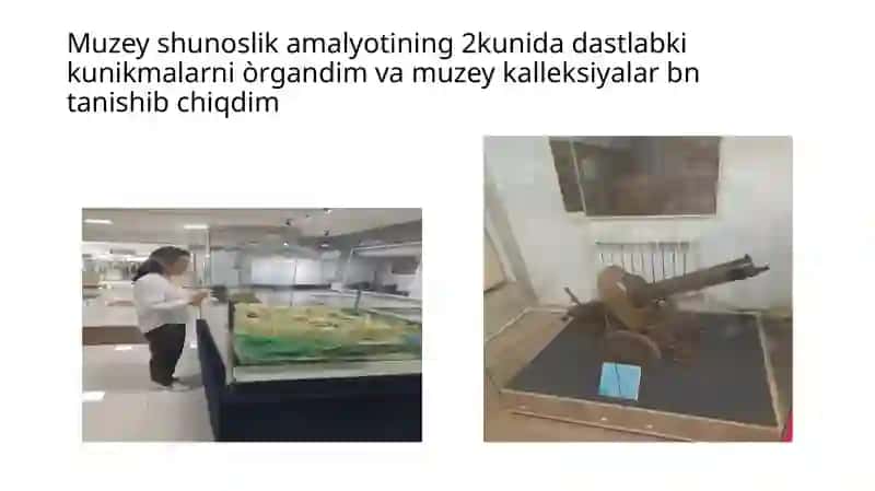 Muzeyshunoslik Amalyoti 3