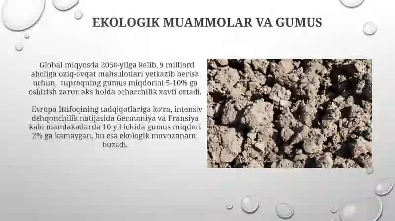 Tuproqning gumusi va unumdirligi 3