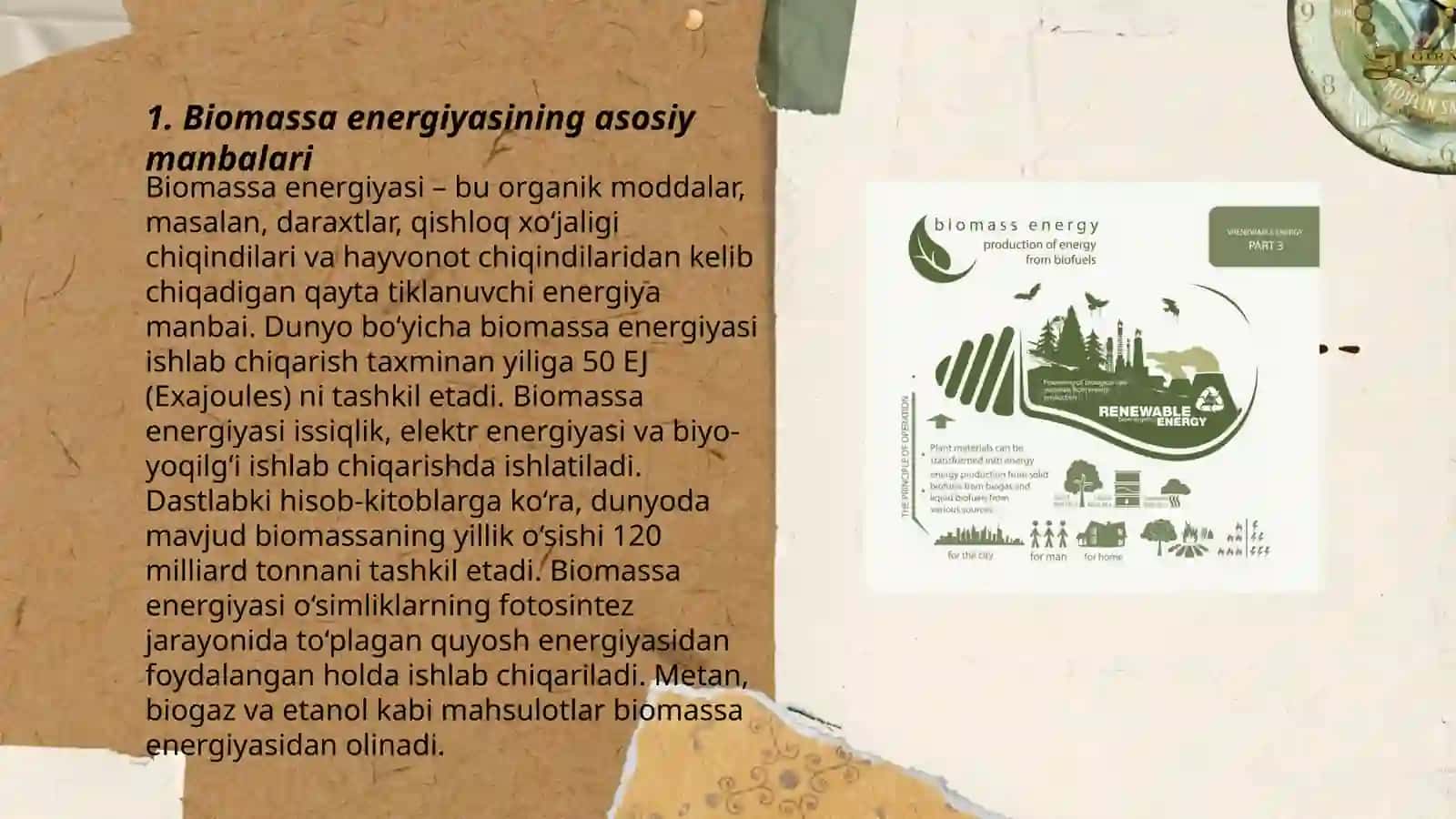 Biomassa energiyasi 3