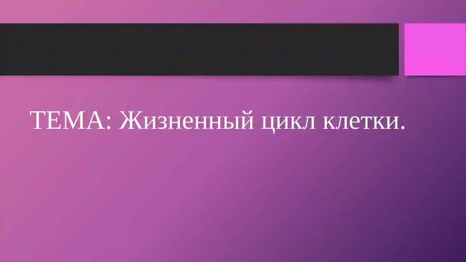 Жизненный цикл клетки 3