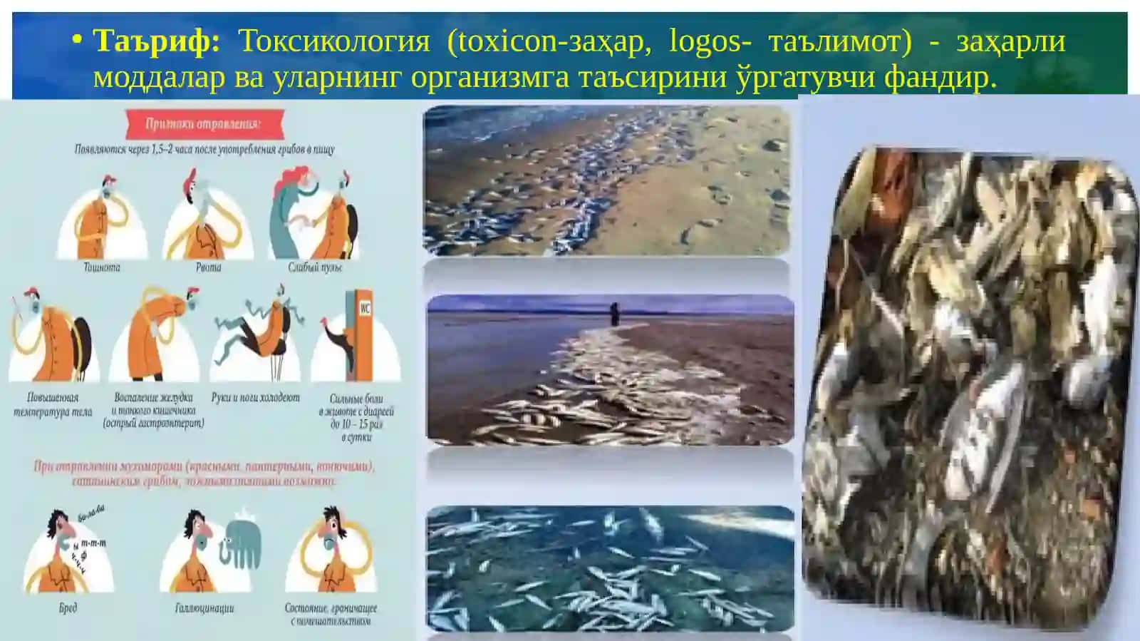 АГРОНОМИК ТОКСИКОЛОГИЯ АСОСЛАРИ 3