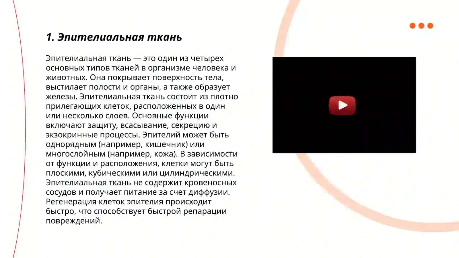 Ткани человека 3