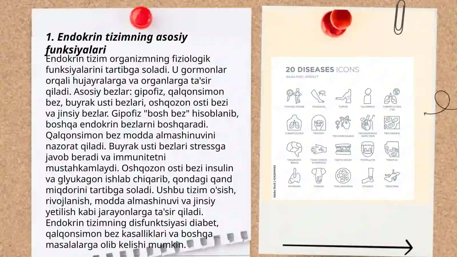 Sil VA endokrin kasalliklari haqida tushuncha 3