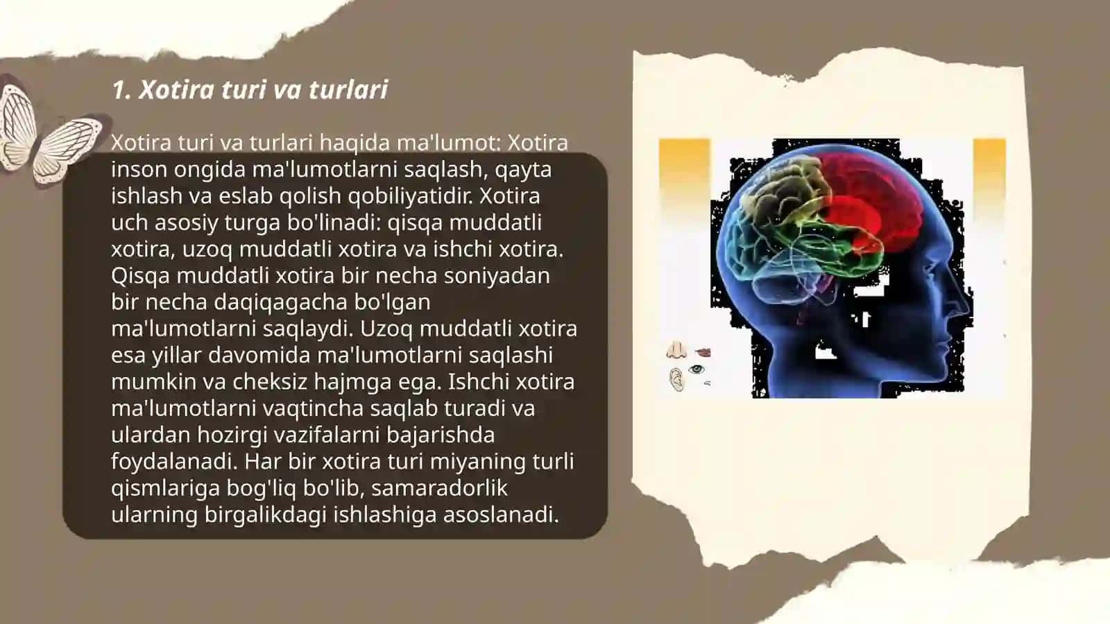 Xotira turi va turlari 3