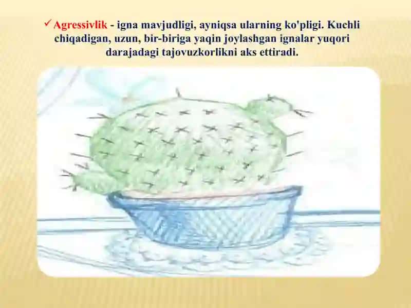 "Kaktus"chizishmetodikasi 3