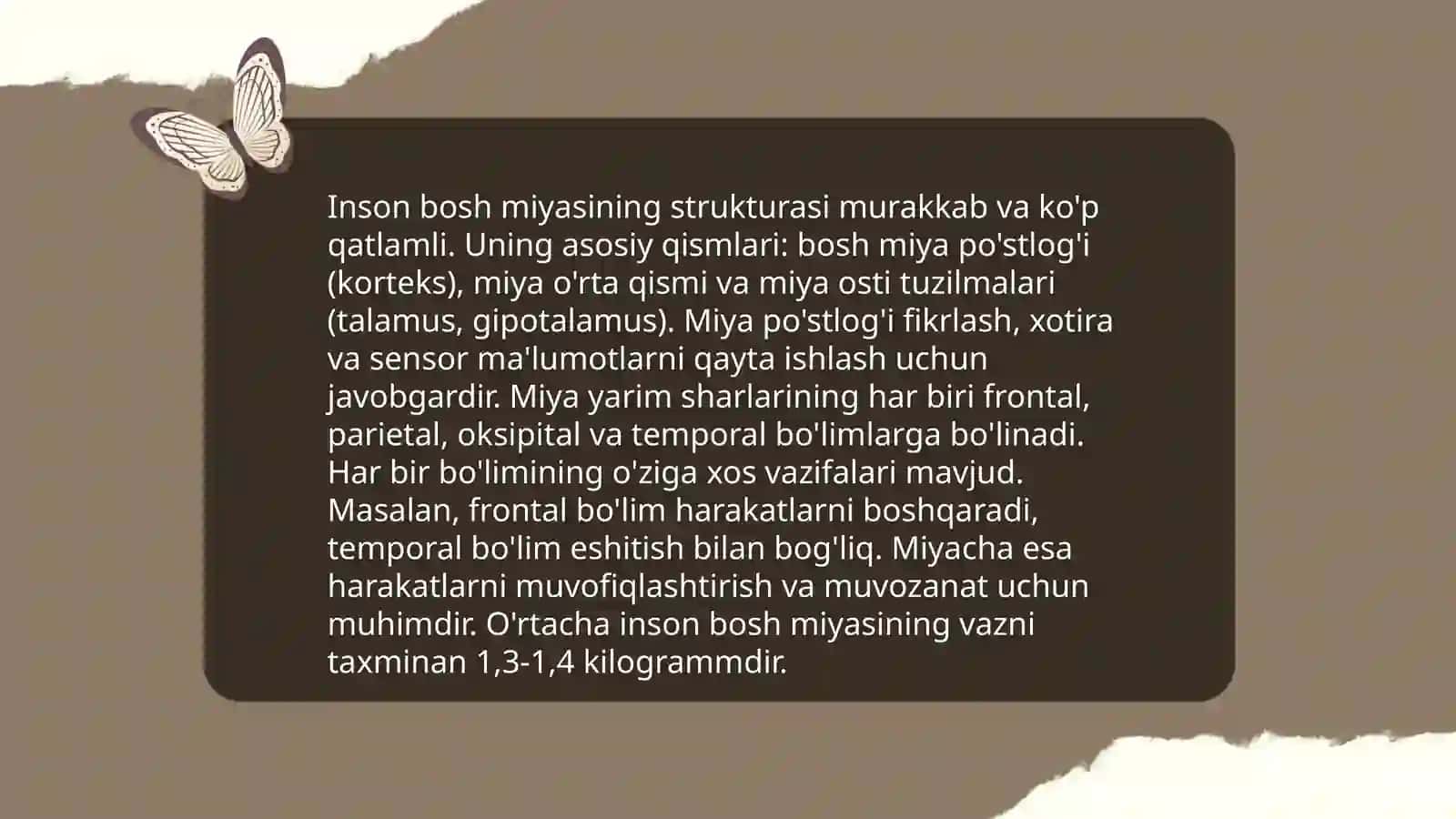 Inson bosh miya nervlari anatomiyasi, fiziologiyasi va patologiyasi 3