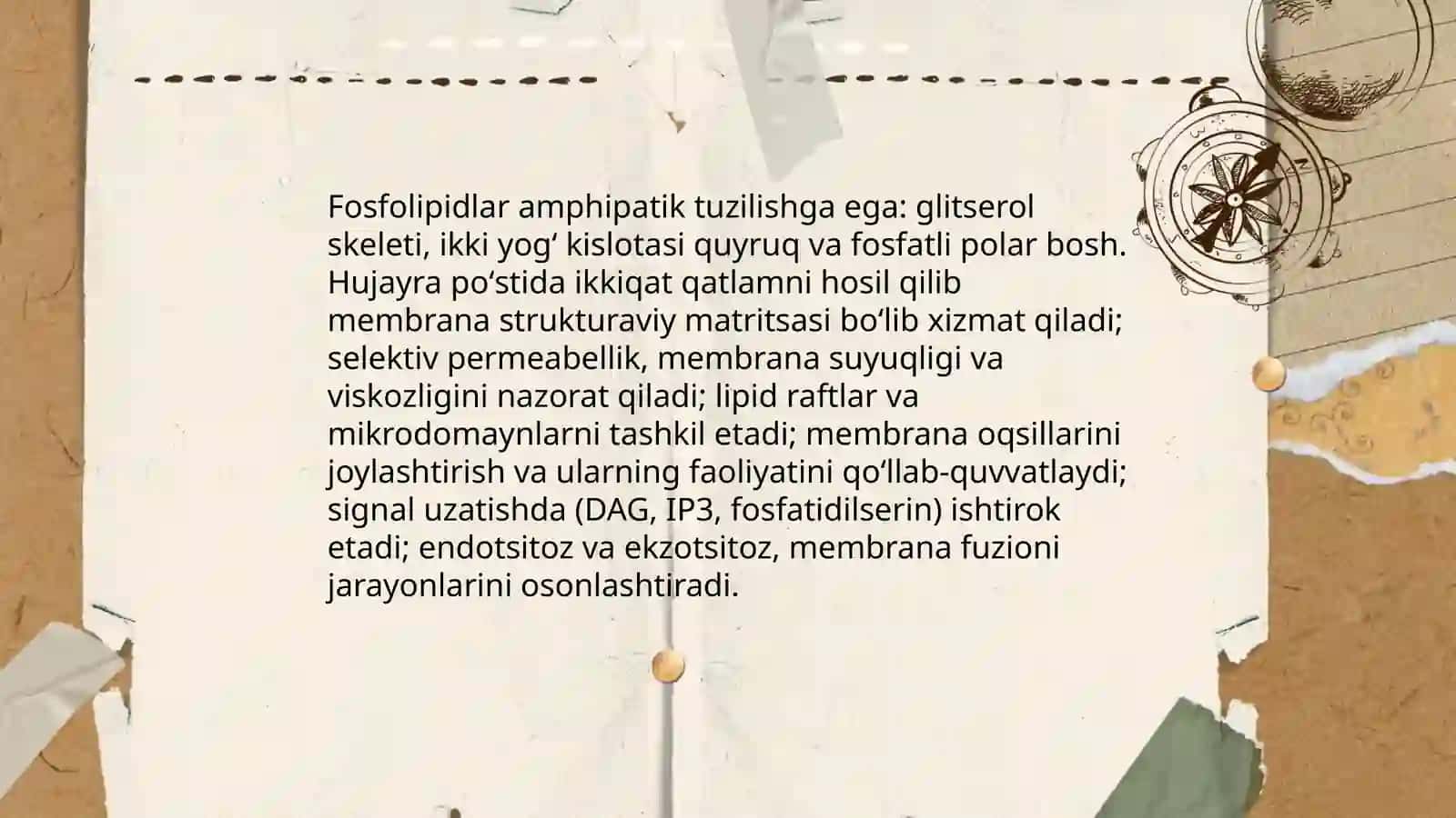 Hujayra poʻstining kimyoviy tarkibi ahamiyati 3