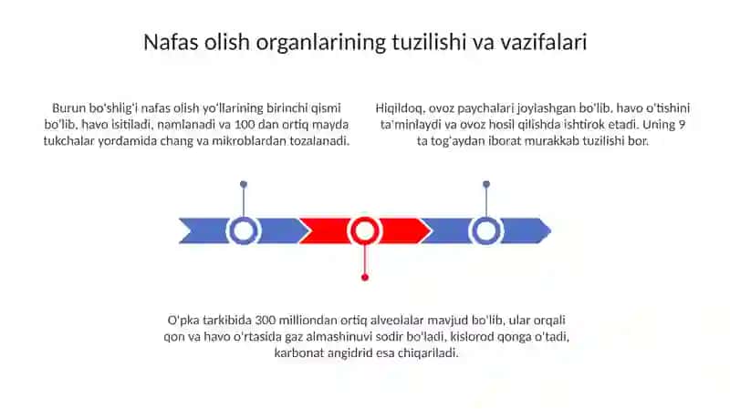 Nafas organlari 3