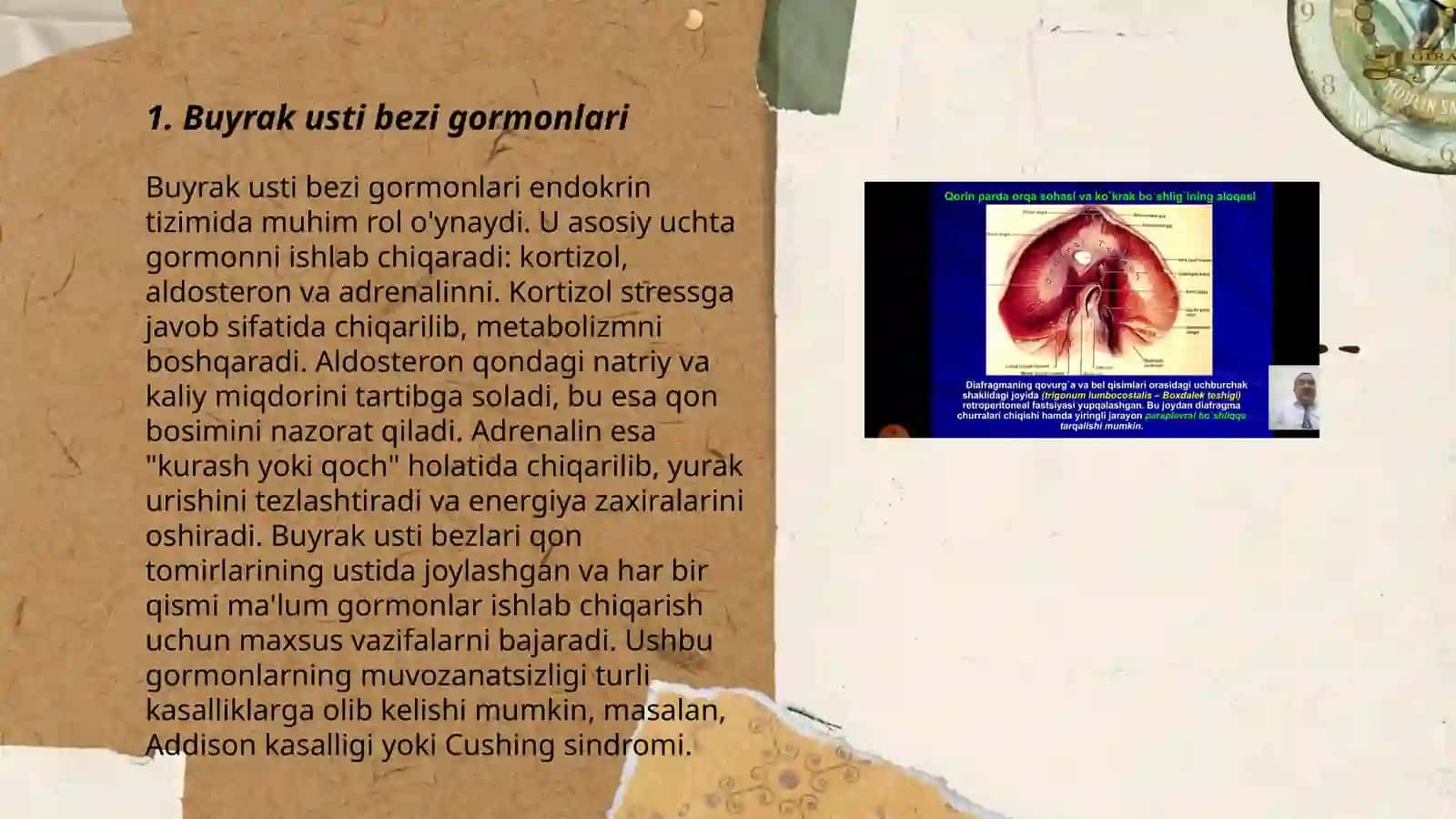 Buyrak usti bezi endokrinalogiya 3