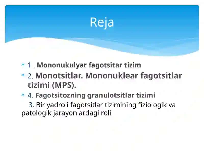 Mononuklear fagotsitlar tizimi 3