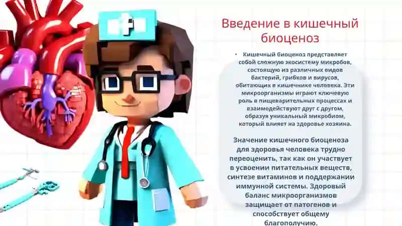 понимание кишечного биоценоза 3
