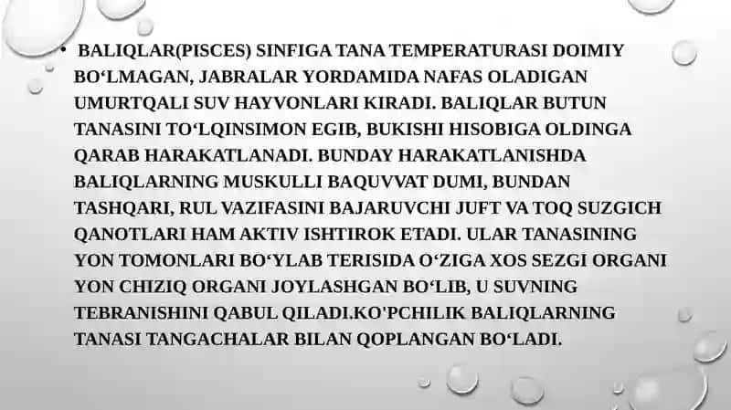 Baliqlarning Filogeniyasi 3