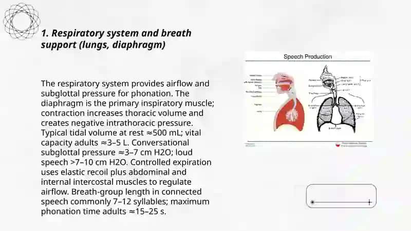 Production of speech sounds; organs of speech 3