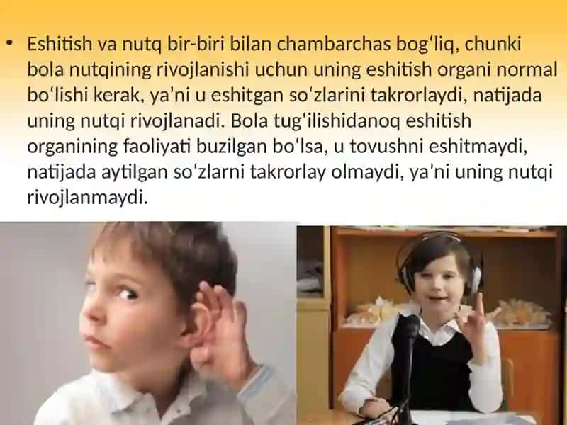 48- §.Eshitishorgani(eshitishanalizatori) 3