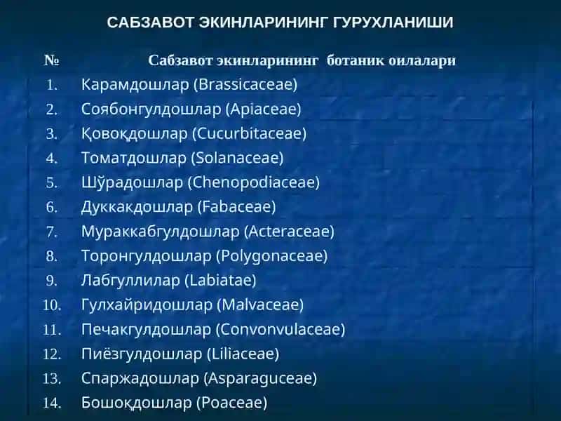 Сабзавот экинларининг гурухланиши 3