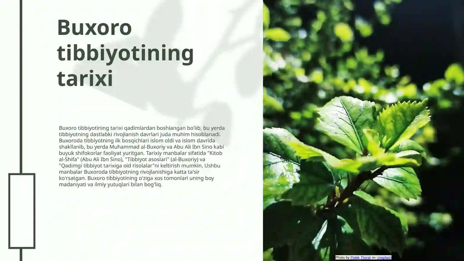 Buxoro davlatidagi tibbiyot va uning rivojlanish tarixi 3